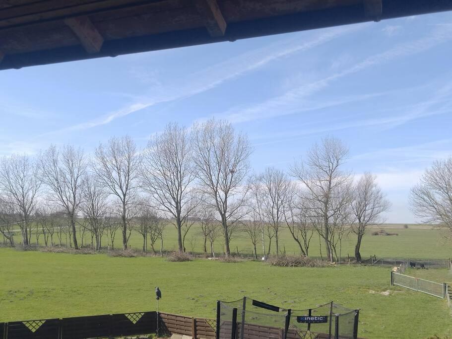 Erholung Auf Der Deichschaeferei Mit Deichblick Leilighet Schillig Eksteriør bilde